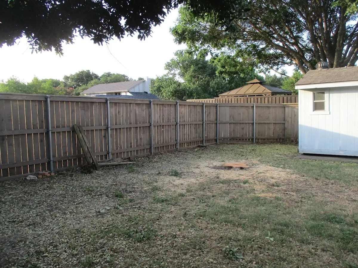 Cleared yard after professional tree removal in Madison